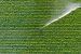 Long Term Irrigation Fund