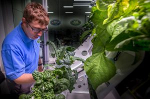 NASA tests ROSA on Space Station for First Time