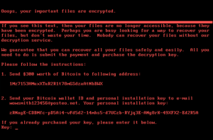 Short Note: Petya Ransomware Cyberattack