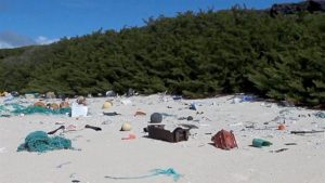 Short Note: South Pacific Gyre and Pollution in Henderson Island