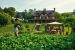 Taxing the Rich Farmers – Current status of Farm Taxes, pros and cons