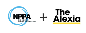Various Issues Around Working of NPPA