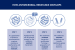 WHO revised Antibiotics Protocol