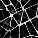 Scientists develop super-flexible and strong artificial silk