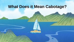 Cabotage