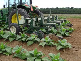 Cultivator