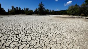 Drought Year