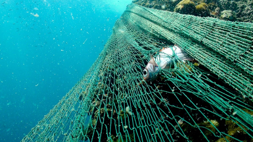 Underwater ghost nets posing threat to marine ecosystem: Study - GKToday