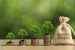 Green Bond Initiatives