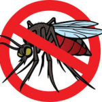 Fact box: National Strategic Plan for Malaria Elimination