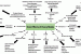 Deficits of States: Trends and Implications for Resource Mobilization