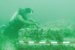 Government Plans to launch Underwater Robots to uncover Dwaraka and Puhar