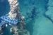 GSI discovers millions of tonnes of precious metals and minerals in Indian waters
