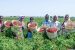 NABARD inks AMA with Green Climate Fund