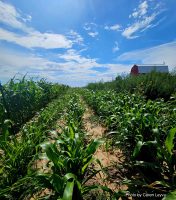 New State/ UT Agricultural Produce Marketing (Development and Regulation) Bill