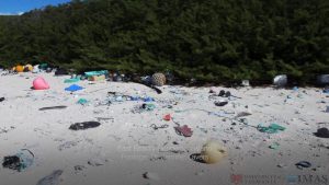 The Plastic Junkyard at Henderson Island