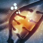 Food Safety and Standards (GM Foods) (Draft) Regulations