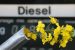 International Biodiesel Day 2017