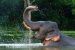World Elephant Day