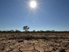 Climate change costs India $10 billion every year: Government
