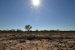 Climate change costs India $10 billion every year: Government