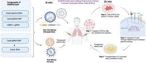 CRISPR/CAS9 Technology: Meaning, Scope, Ethical and Safety Concerns