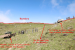 Doklam Standoff: Background, Strategies and Resolution