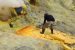 Illegal Mining: Recent SC Order and Its Relevence