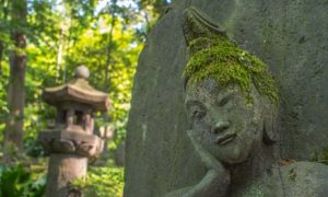 Moss serves as a cheap pollution monitor: Scientists