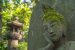 Moss serves as a cheap pollution monitor: Scientists