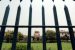 Recent SC Suggestion: NEET Like Exam for Lower Judiciary