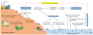 Short Note: Diversion of Forest Land – New Cost-Benefit Analysis Guidelines