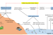 Short Note: Diversion of Forest Land – New Cost-Benefit Analysis Guidelines