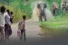 New Plan to curb Human-Elephant conflict