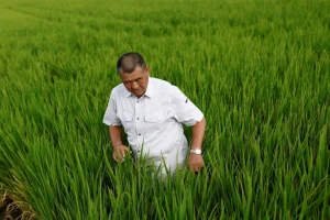 Price Policy Issues: Balancing Farmer and Consumer Interests