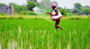 Government inks $200 million Loan Agreement for Assam Agribusiness and Rural Transformation Project