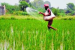 Government inks $200 million Loan Agreement for Assam Agribusiness and Rural Transformation Project
