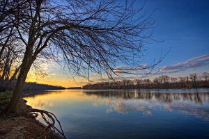 Algonkian