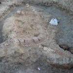 Ichthyosaur fossil discovered for first time in India