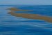 The Only Sea Without a Coast