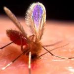 India misses 2017 deadline for Kala Azar elimination