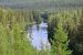 Coniferous forests