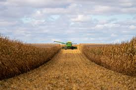 Corn Belt