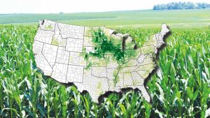 Corn Belt climate