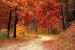 Fall (season)