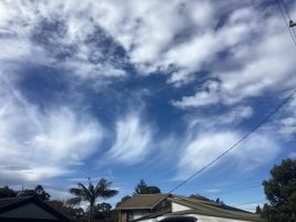 False Cirrus
