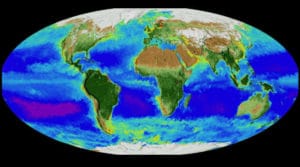Surge in oxygen levels led to explosion of life on earth: Study