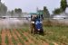 CCEA approves Special Banking Arrangement for payment of outstanding subsidy to fertilizer