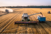 Government doubles import duty on wheat to 20%