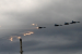 Indra-2017: Joint Indo-Russia Tri-Services Exercise successfully conducted